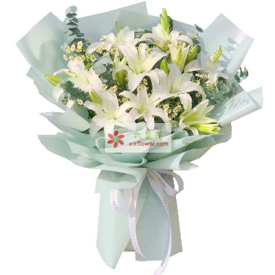 银川6支白色多头百合，温馨的祝福