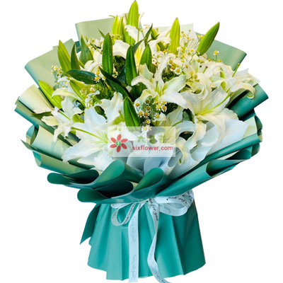 银川8支白色多头百合洋甘菊，如潮的思念